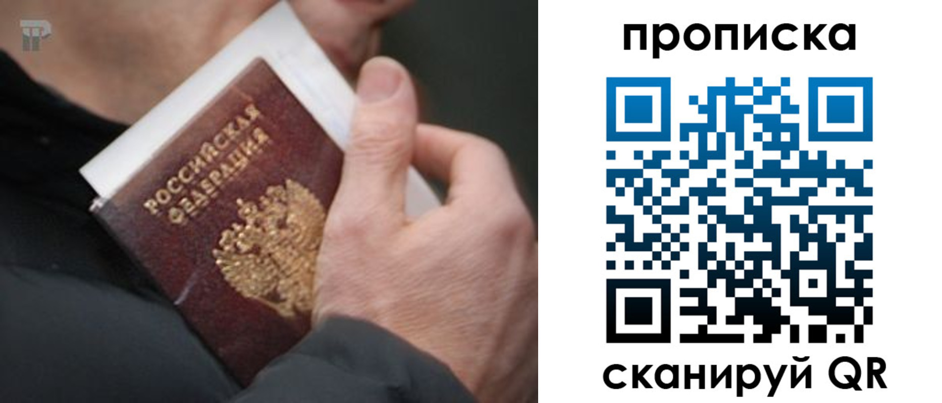временная регистрация гарантия в Цимлянске